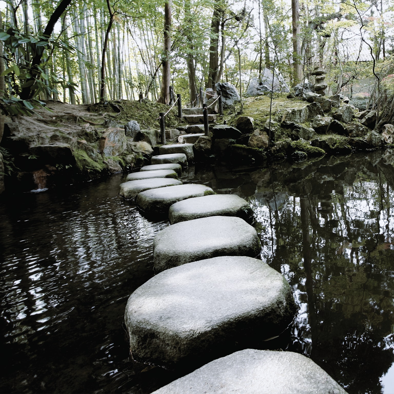 Taking ownership of a sustainable future