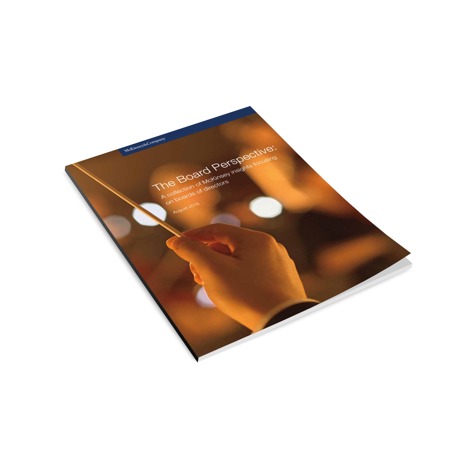 The Board Perspective Issue Number 1