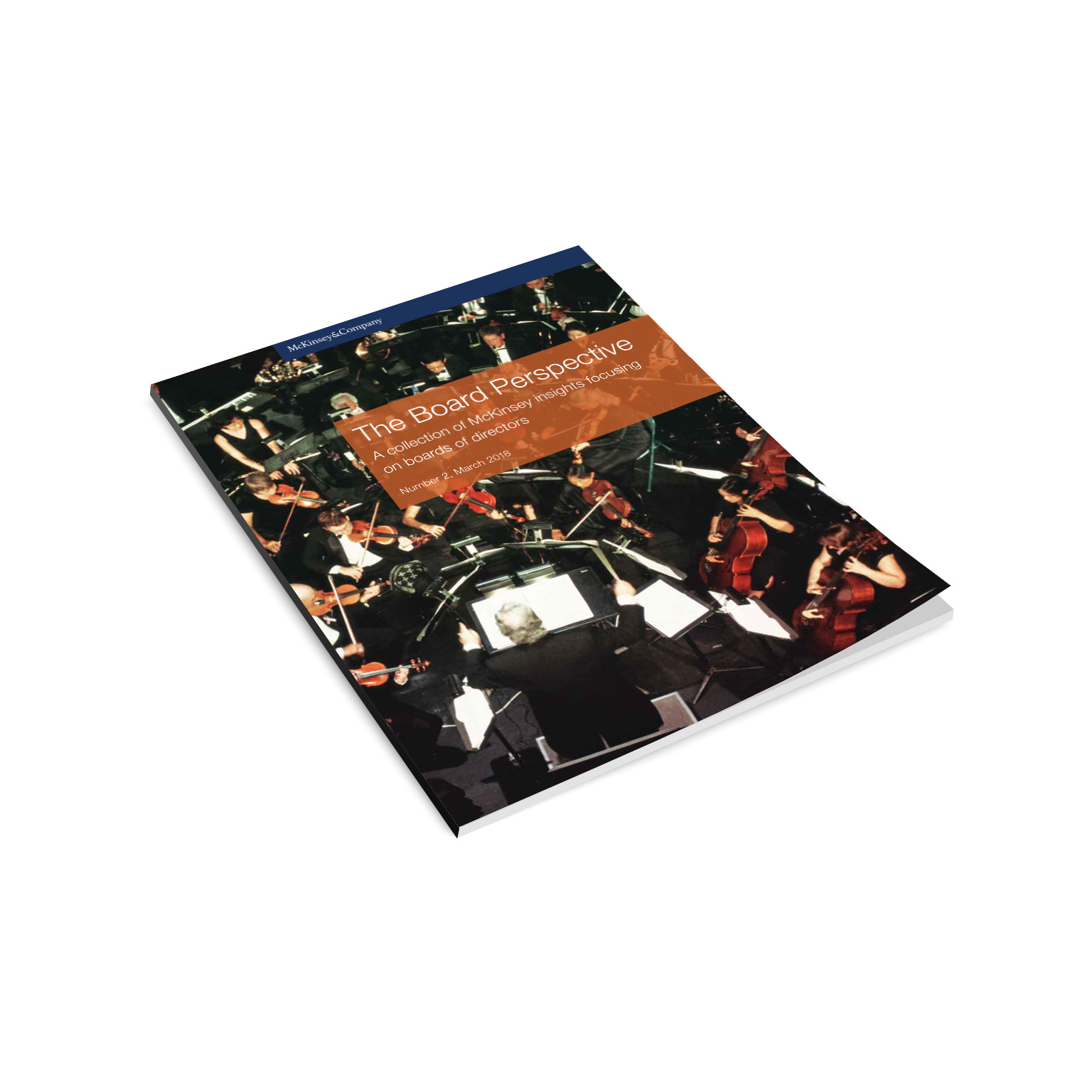 The Board Perspective Number 2