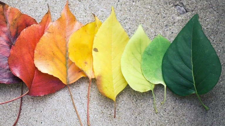 How_you_lead_1536x1536_Original