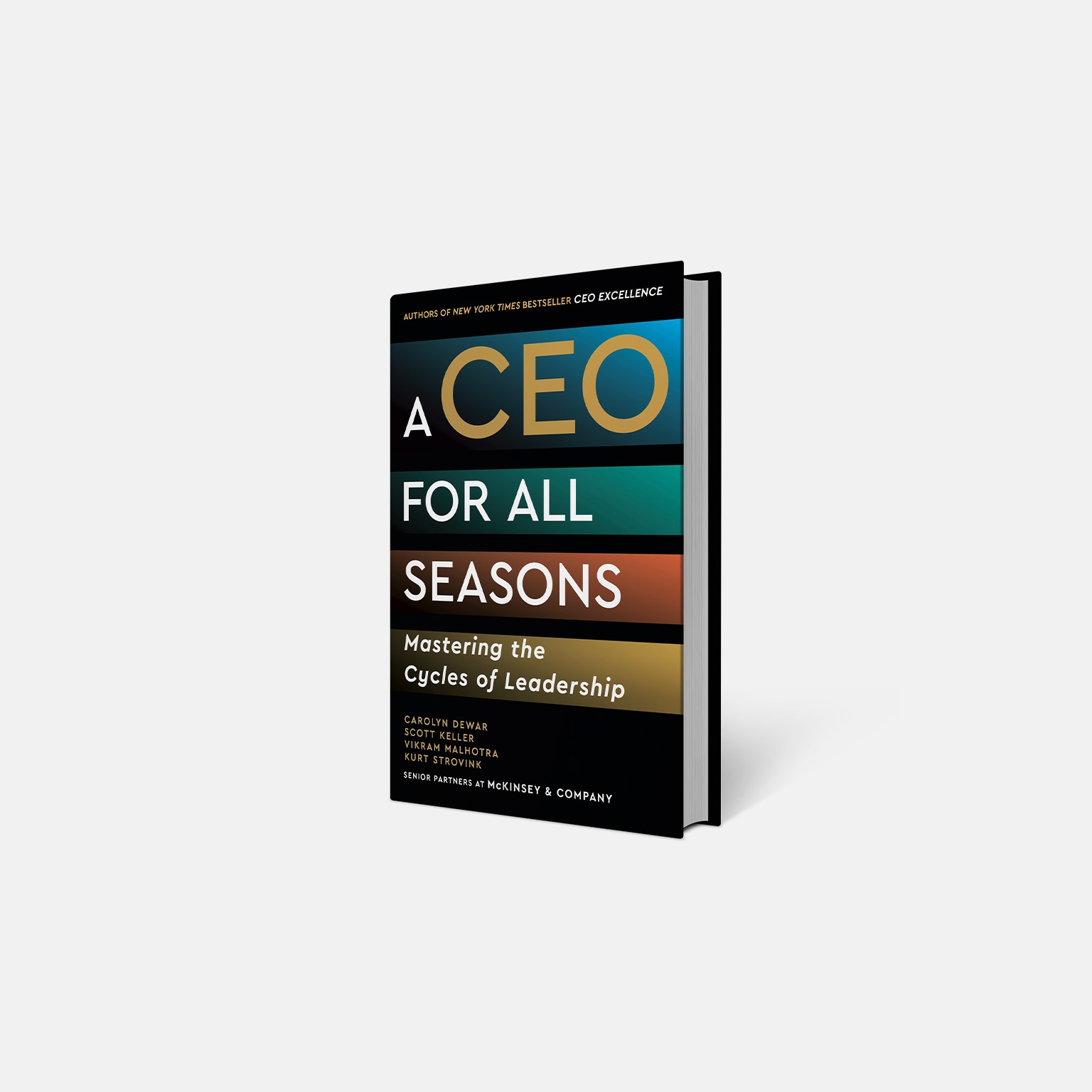 A CEO For All Seasons book jacket