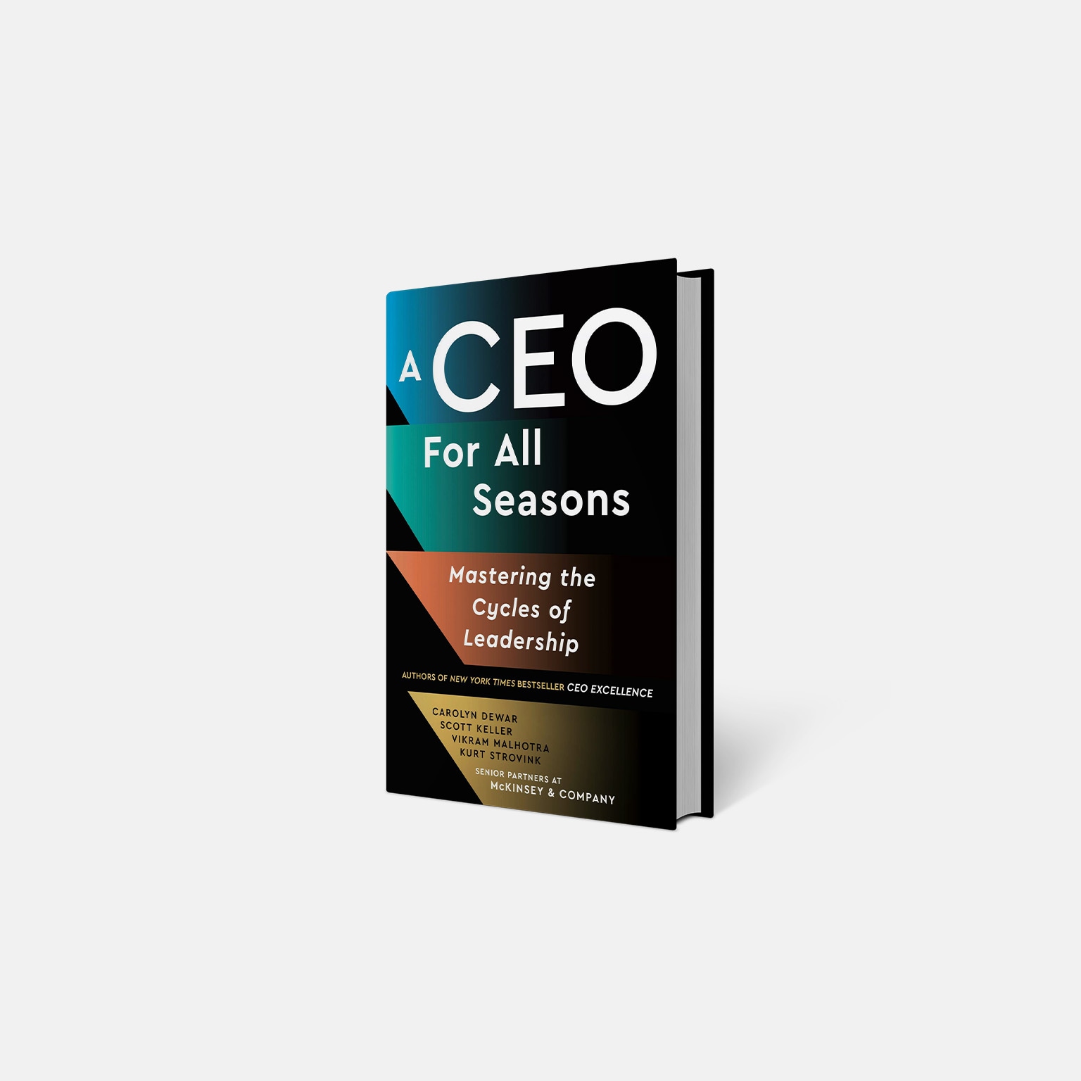 A CEO For All Seasons book jacket