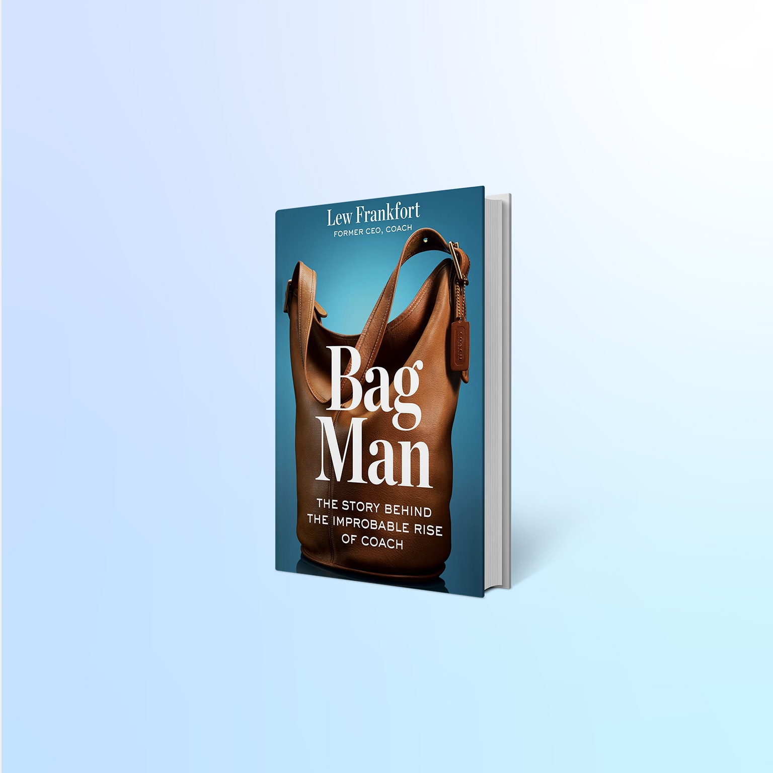 Image of Bag Man book cover.