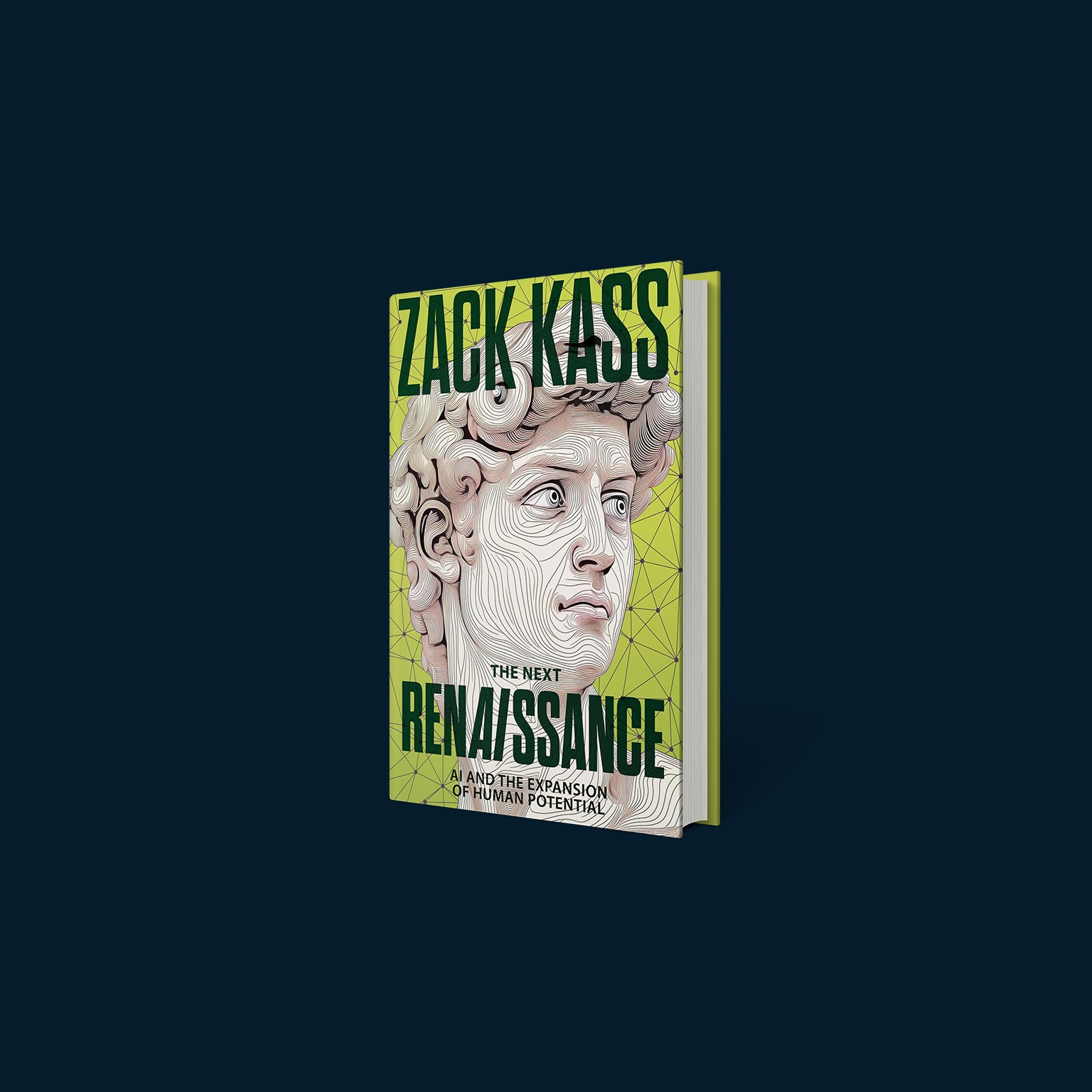 The Next Renaissance book cover.