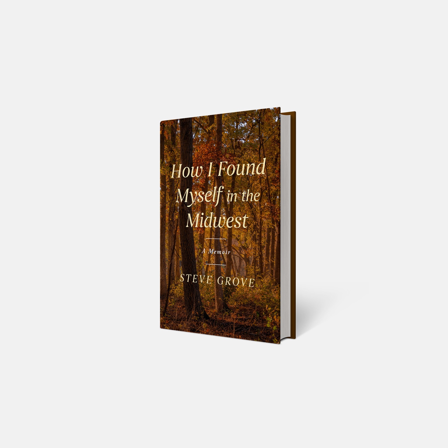 Image of the How I Found Myself In The Midwest book.