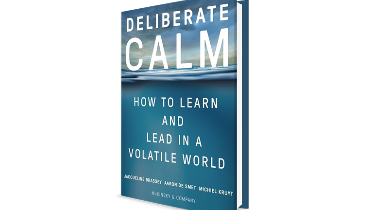 Book cover  of Deliberate Calm: How to Learn and Lead in a Volatile World﻿
