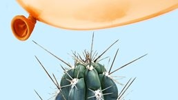 A balloon flying dangerously close to a cactus.