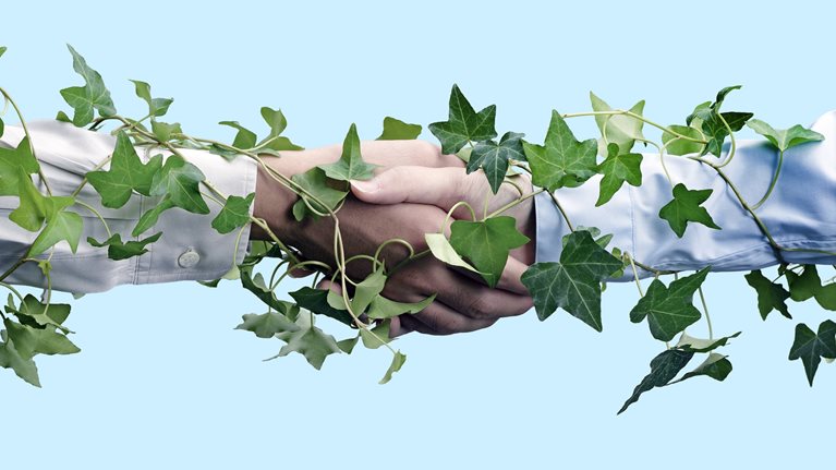 Close up detail of two business people shaking hands with an ivy vine wrapped around their arms and connecting them.
