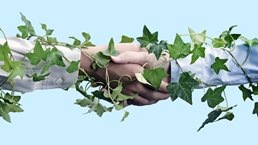 Close up detail of two business people shaking hands with an ivy vine wrapped around their arms and connecting them.