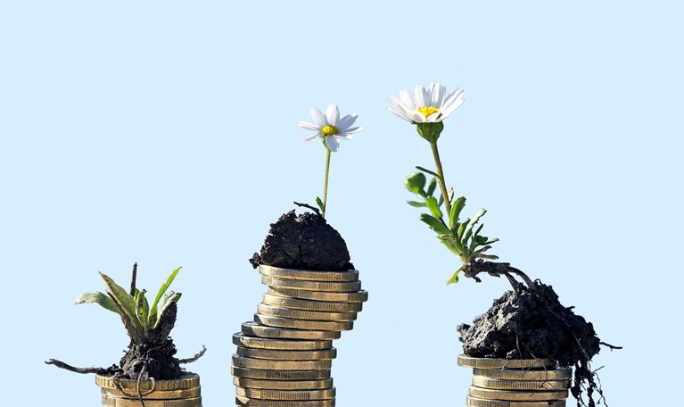 Three stacks of coins of different heights. Small daisy seedlings of varying maturity are placed on top of each stack.