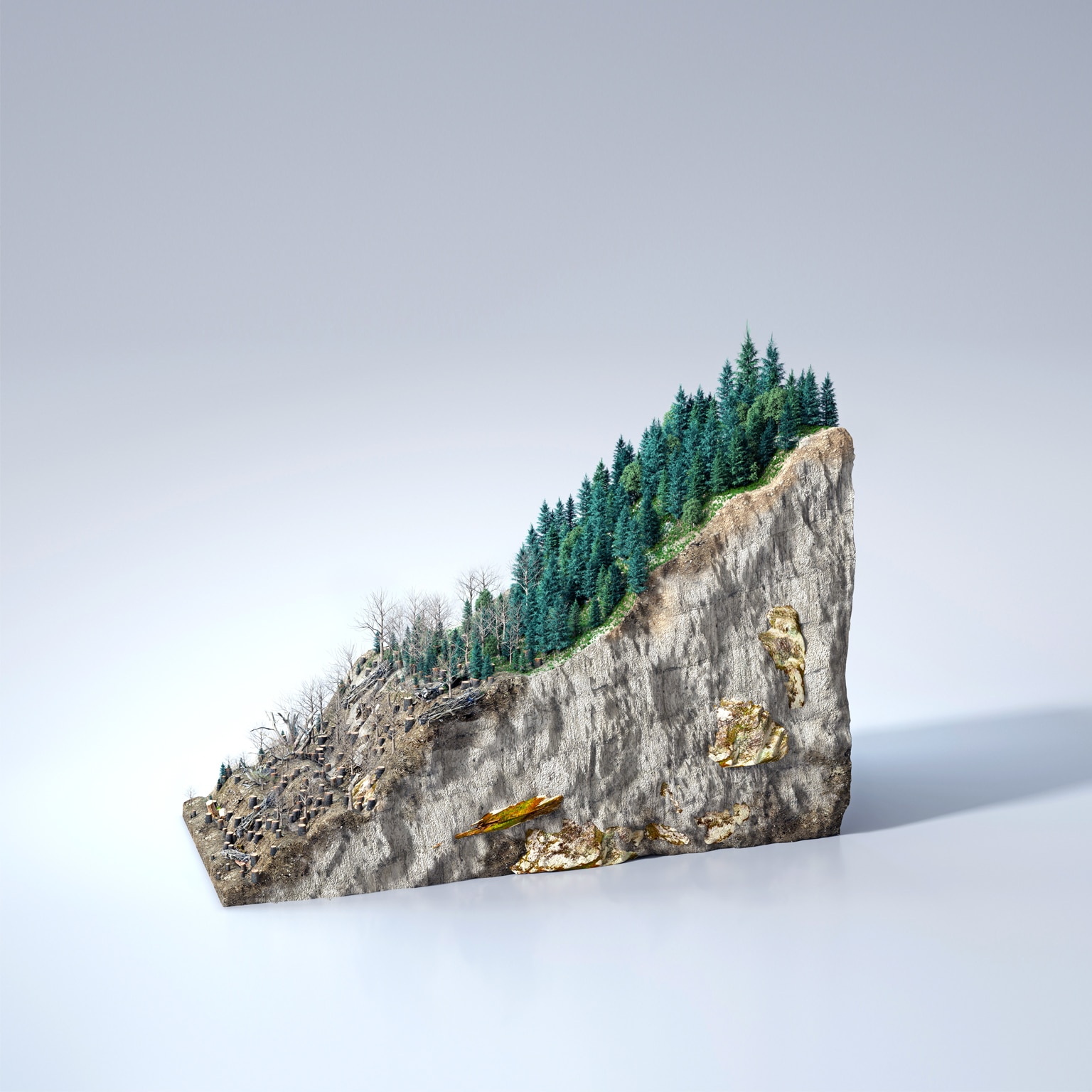 什么是环境可持续性？