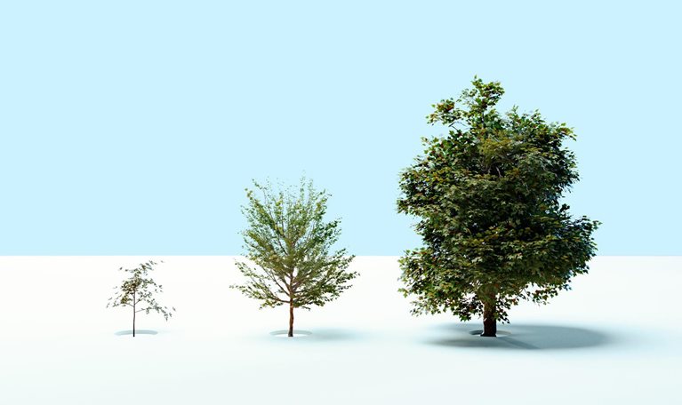 Three trees of increasing size stand in a row against a minimal, light blue background, each planted in a circular cutout in the ground.