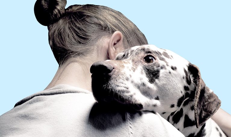 A close up of a woman embracing a Dalmatian. The woman is facing away from the camera with the endearing expression and kind eyes of the Dalmatian facing forward.