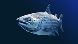 McKinsey for Kids: Hungry fish, baffled farmers, and what happened next