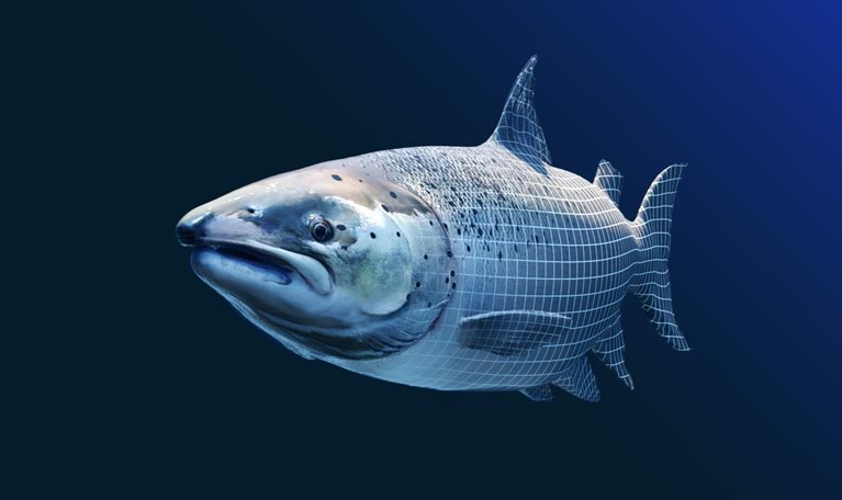 McKinsey for Kids: Hungry fish, baffled farmers, and what happened next