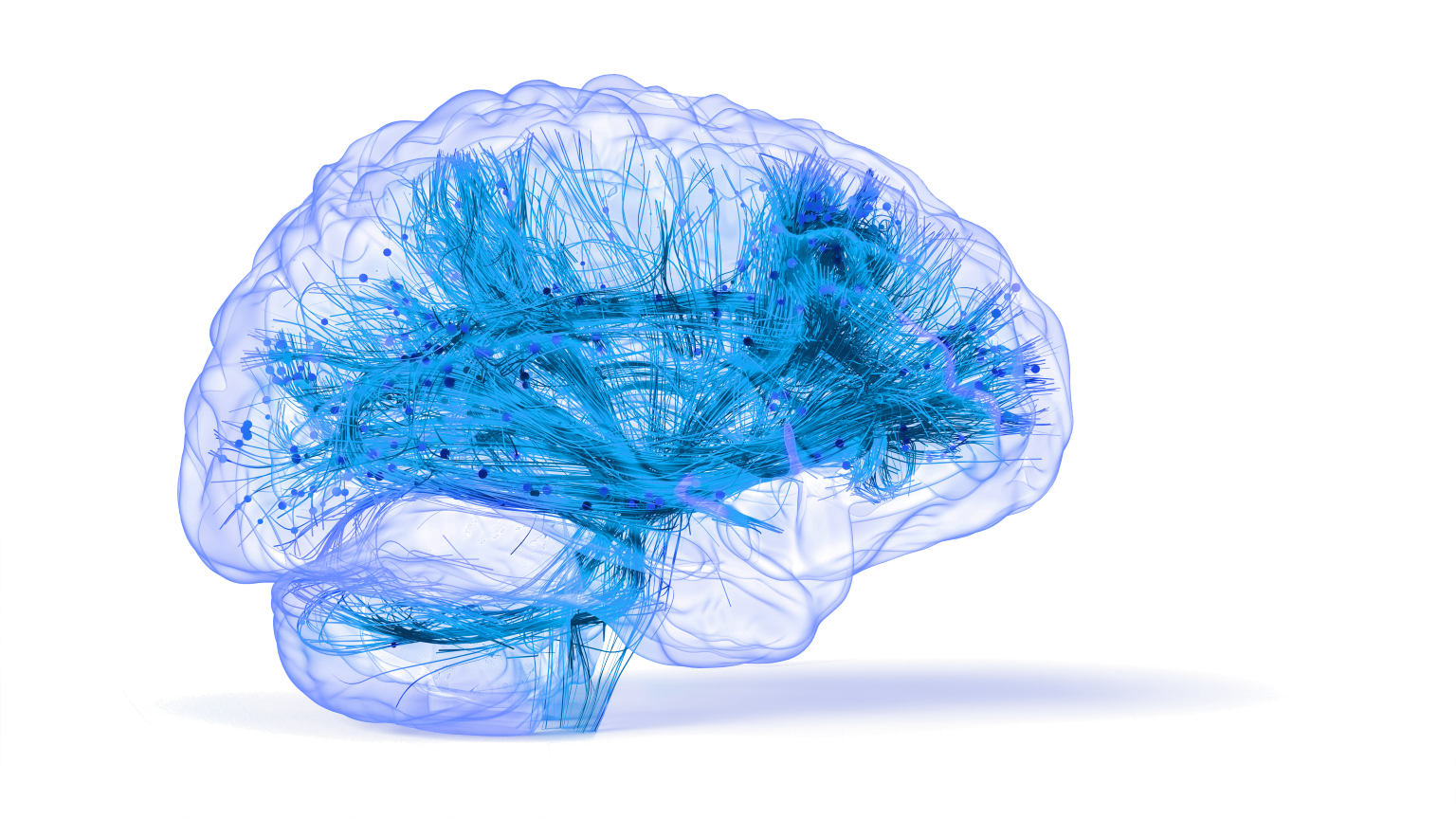 Brain capital: Helping individuals, organizations, and societies thrive in the age of AI