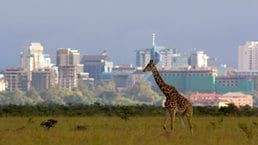 Africa's overlooked business revolution