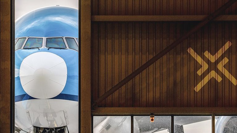 Critical insights on the path to a net-zero aviation sector