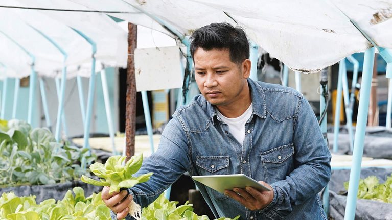 McKinsey Center for Agricultural Transformation - Building capacity