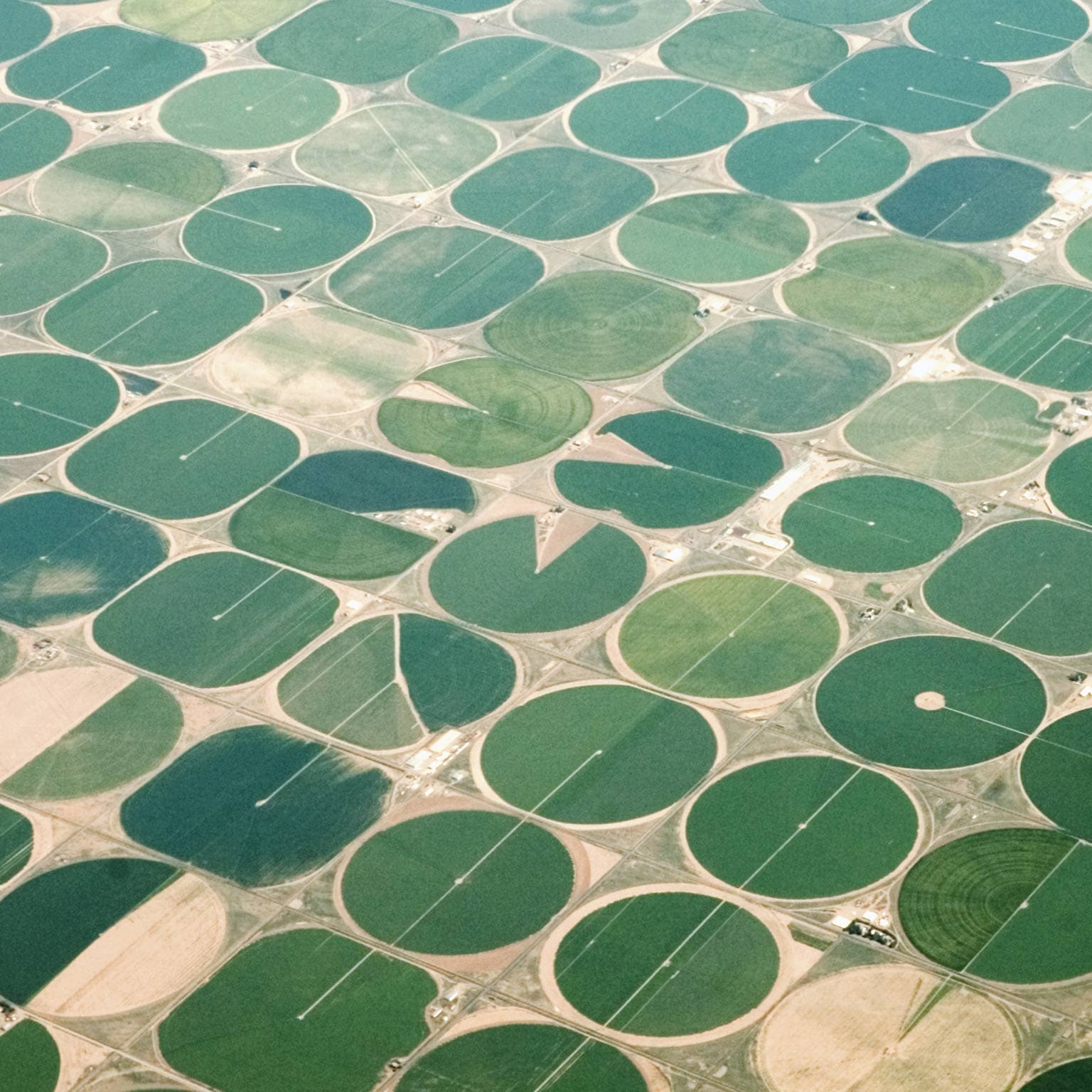 McKinsey Center for  Agricultural Transformation - Data and analytics