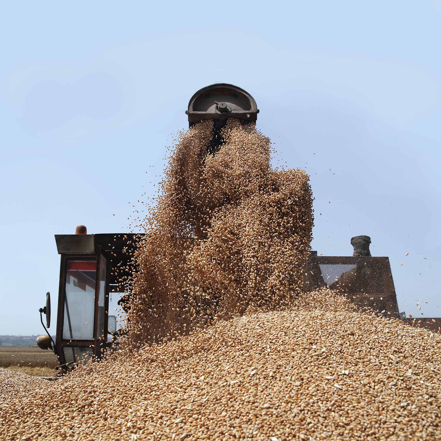 McKinsey Center for  Agricultural Transformation - Delivery