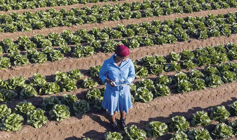 McKinsey Center for Agricultural Transformation