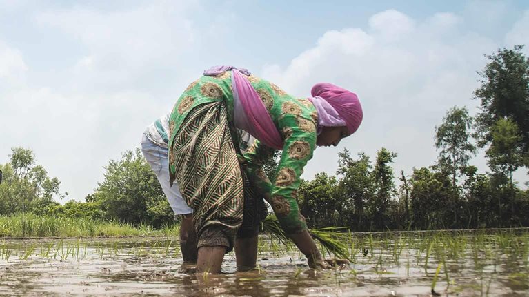 McKinsey Center for Agricultural Transformation - Transformation strategy