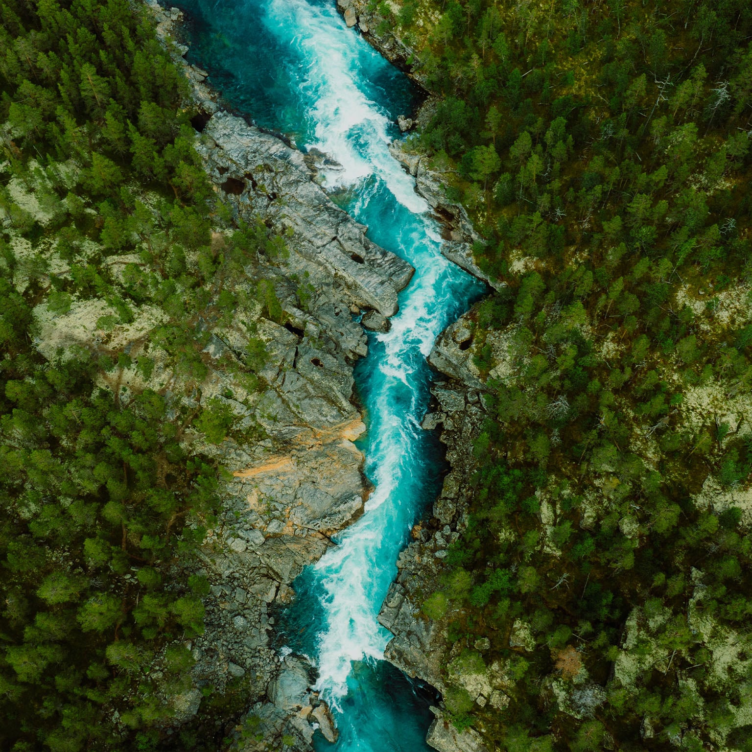 Drone high-angle photo of the turquoise-colored mountain river flowing in the pine woodland with a view of the mountain peaks in the background in Innlandet County, Norway