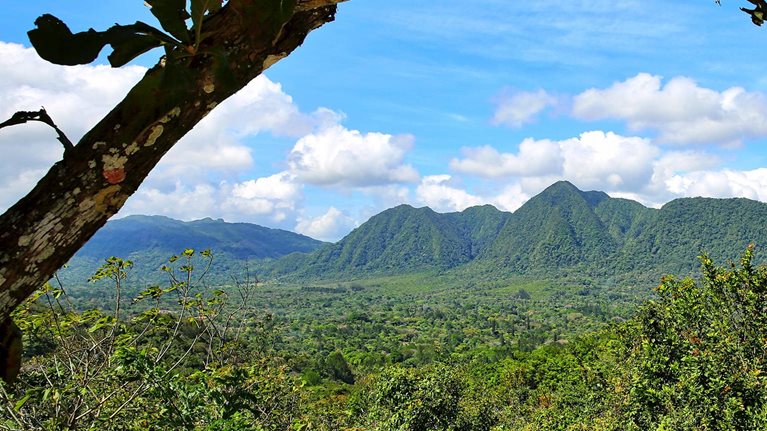 Tropical Rain Forest and Mountains stock photo