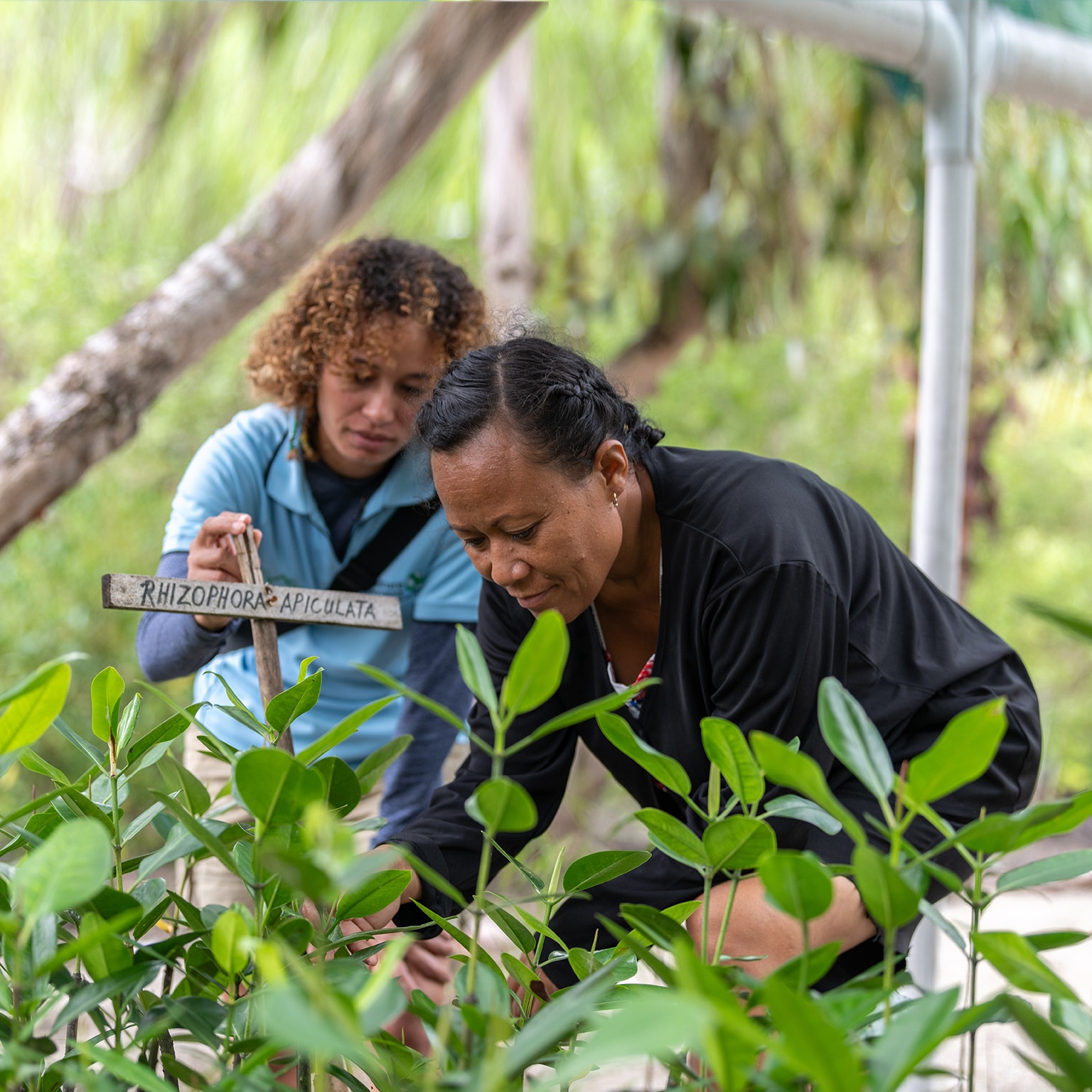 Photo of two women planting trees