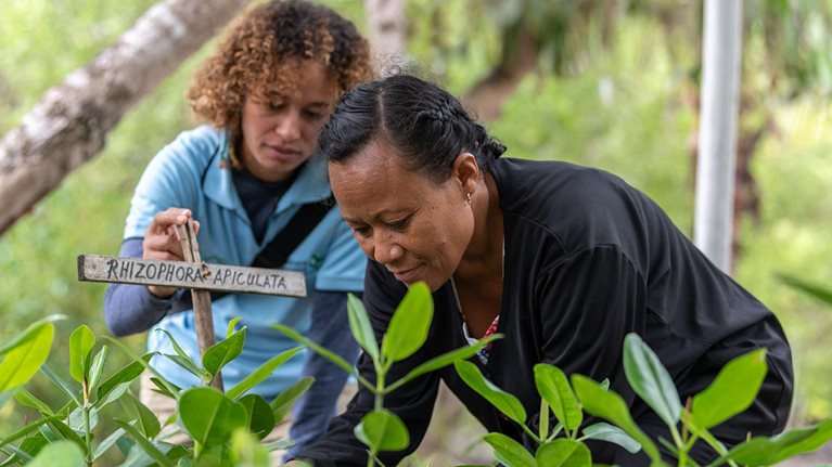 Photo of two women planting trees