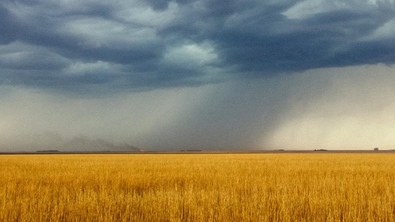 Photo of rain falling over a large field