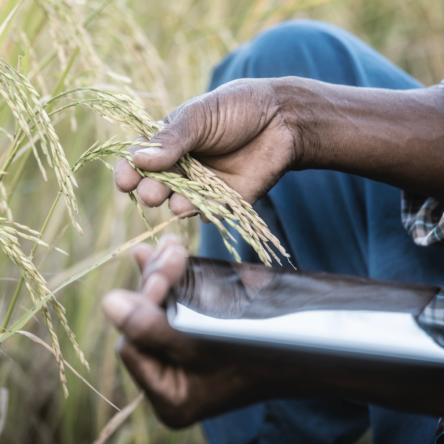 Supply-chain optimization: The next frontier of value creation