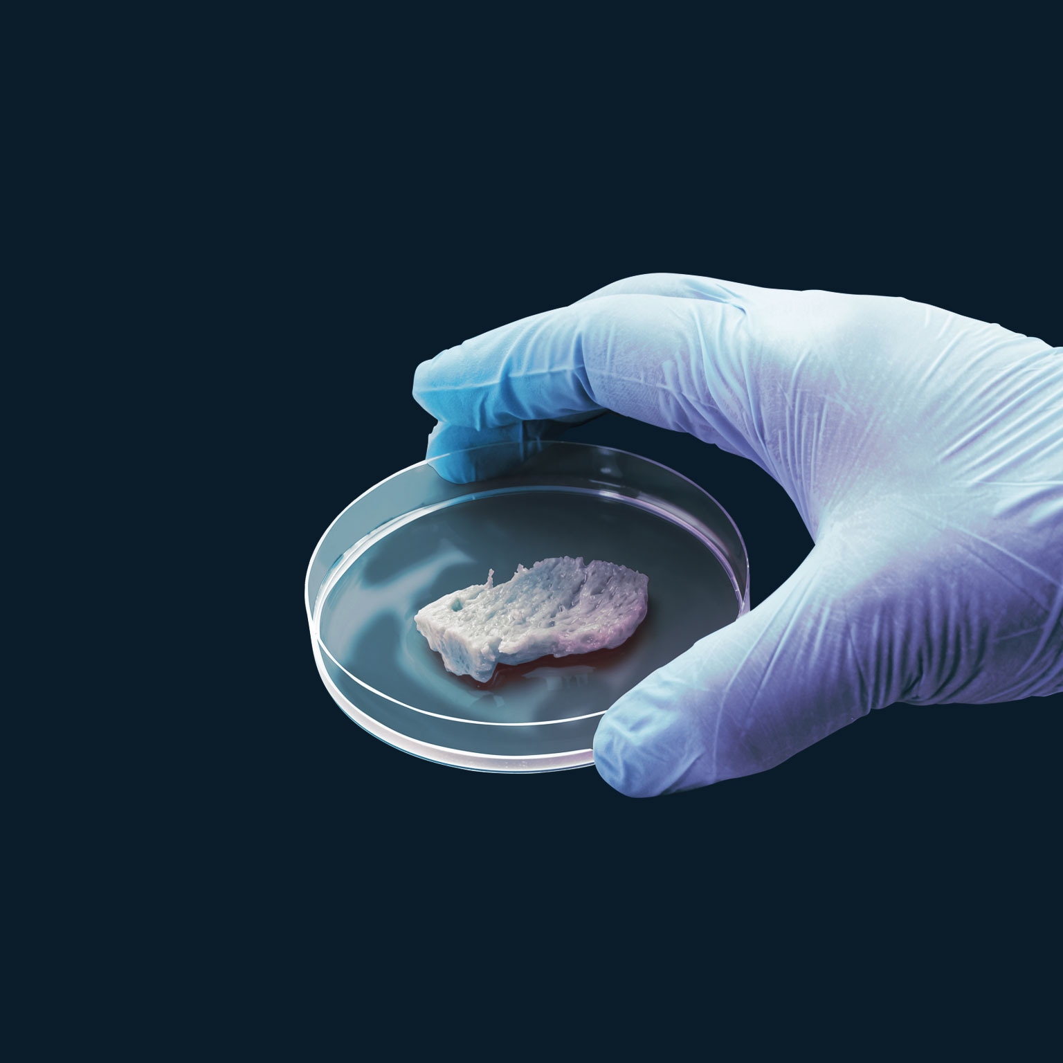 Alternative proteins and the future of meat 