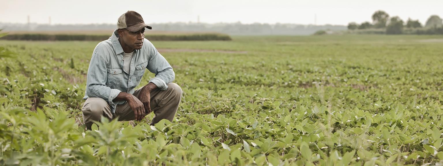 Agriculture Insights Mckinsey Company Agriculture Insights Mckinsey Company