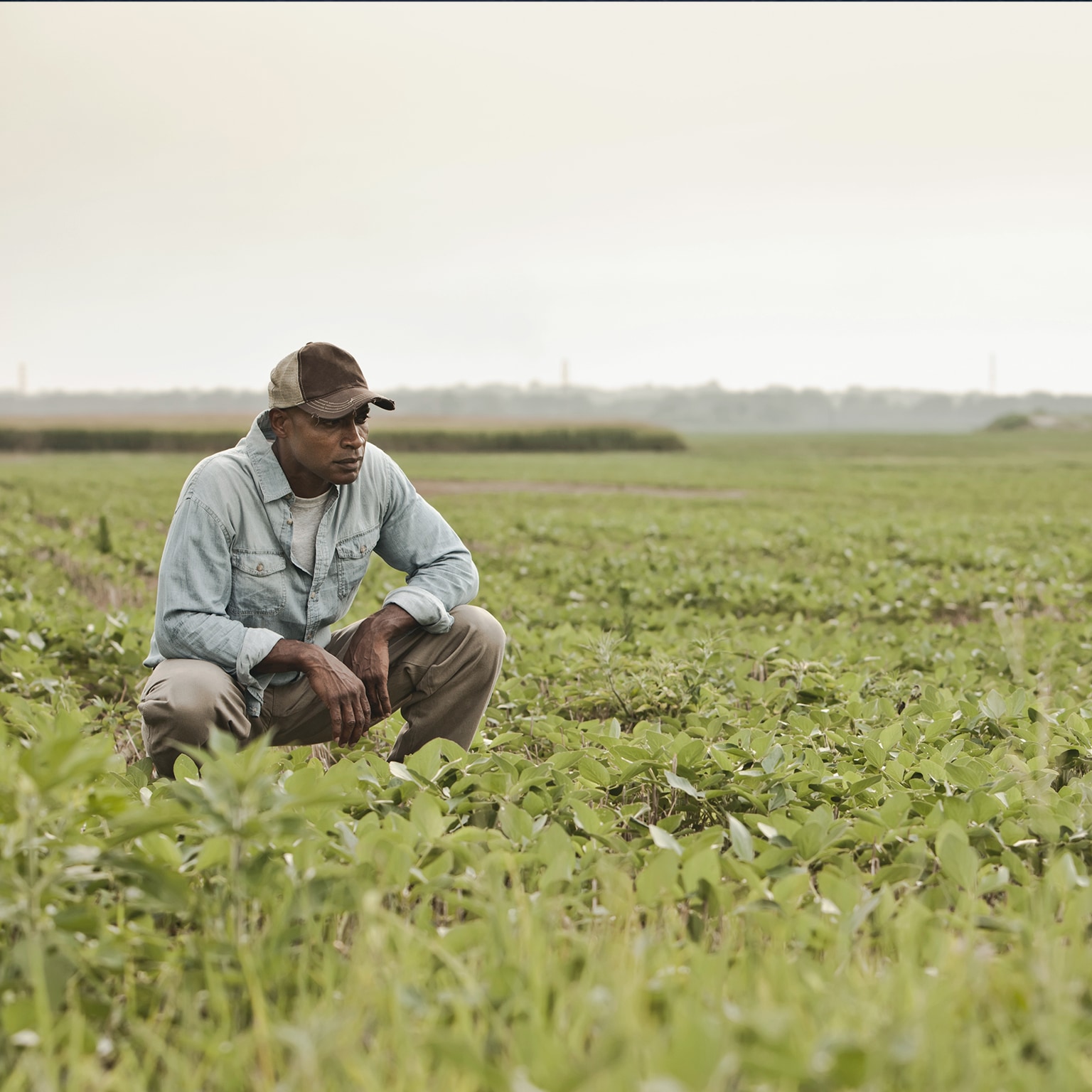 Contribute to the work of capitalizing on experiences in the development of  agricultural sectors — La Guilde