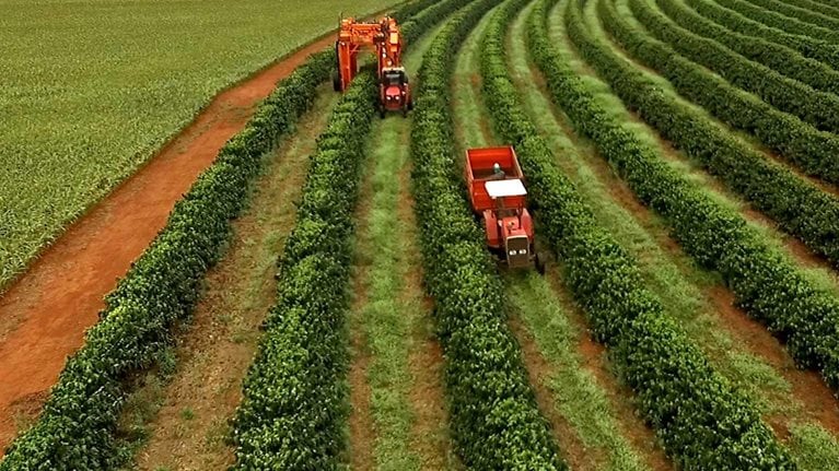Brazilian farmers approach to digital