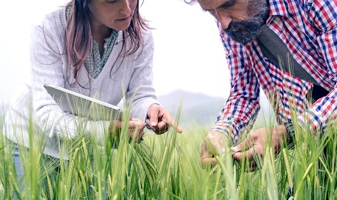 Building food and agriculture businesses for a green future - Vimarsana News