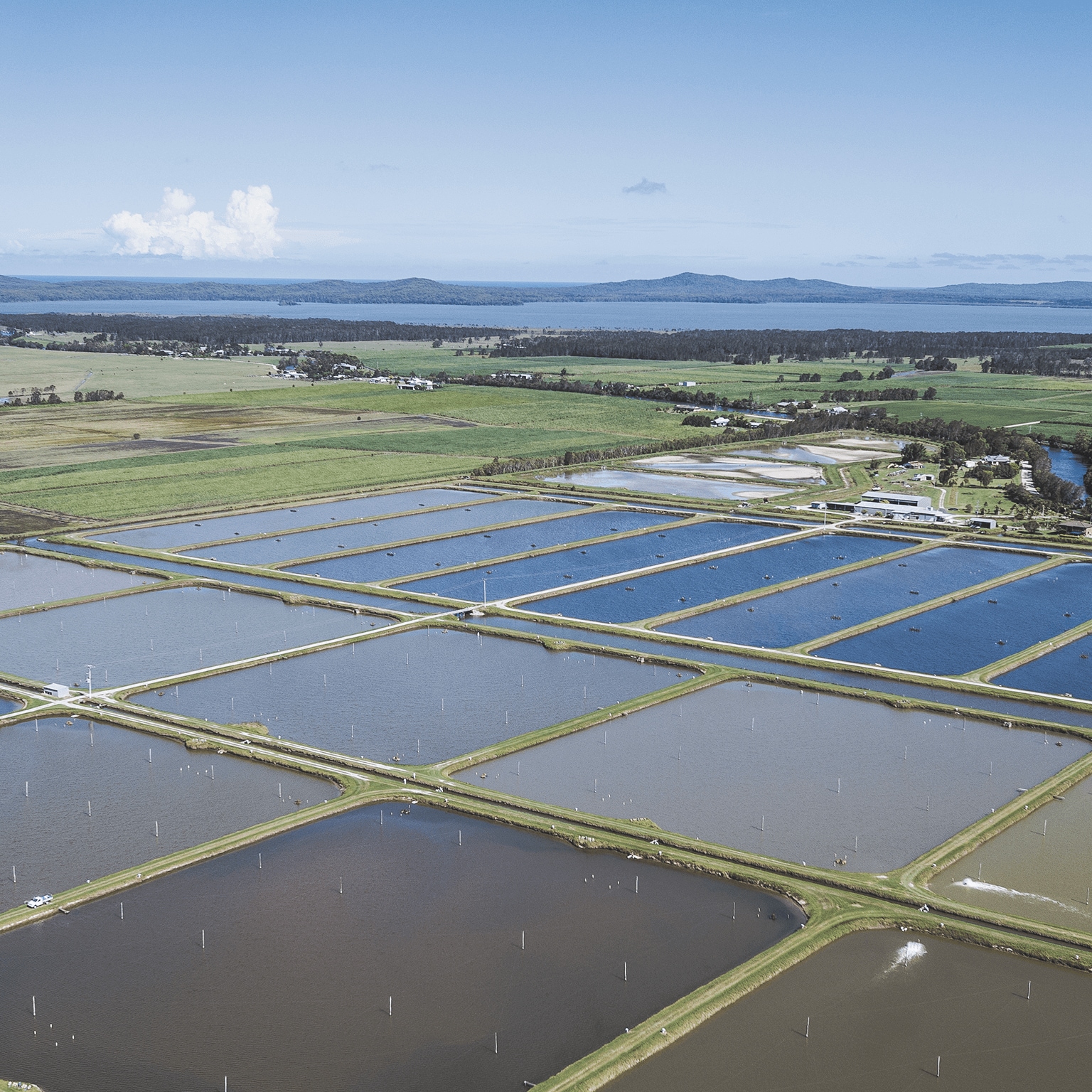 Aerial view of water aerators on a prawn farm in Australia.