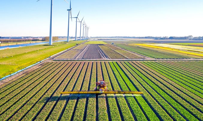 Reducing GHG emissions with green ammonia and fertilizer - Vimarsana News