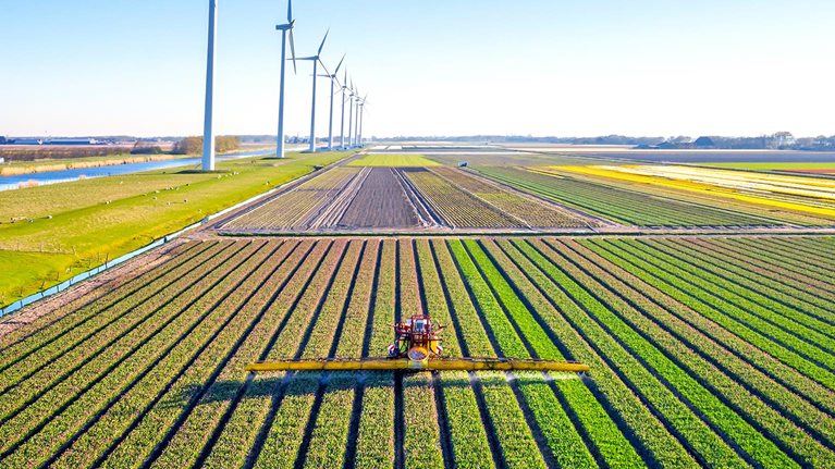 Agricultural crops sprayer in a field of tulips during springtime seen from above