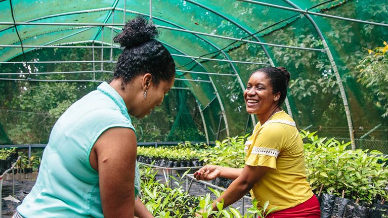 Women working in greenhouse - photo