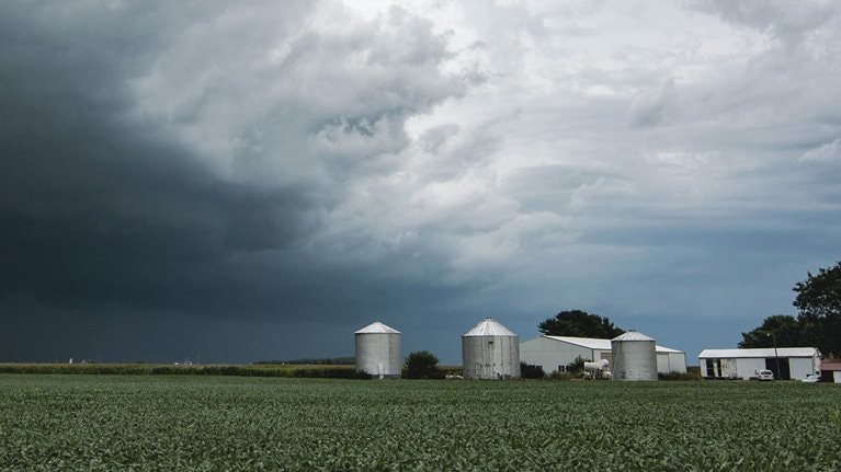 How the Iowa derecho has affected 2020 crops