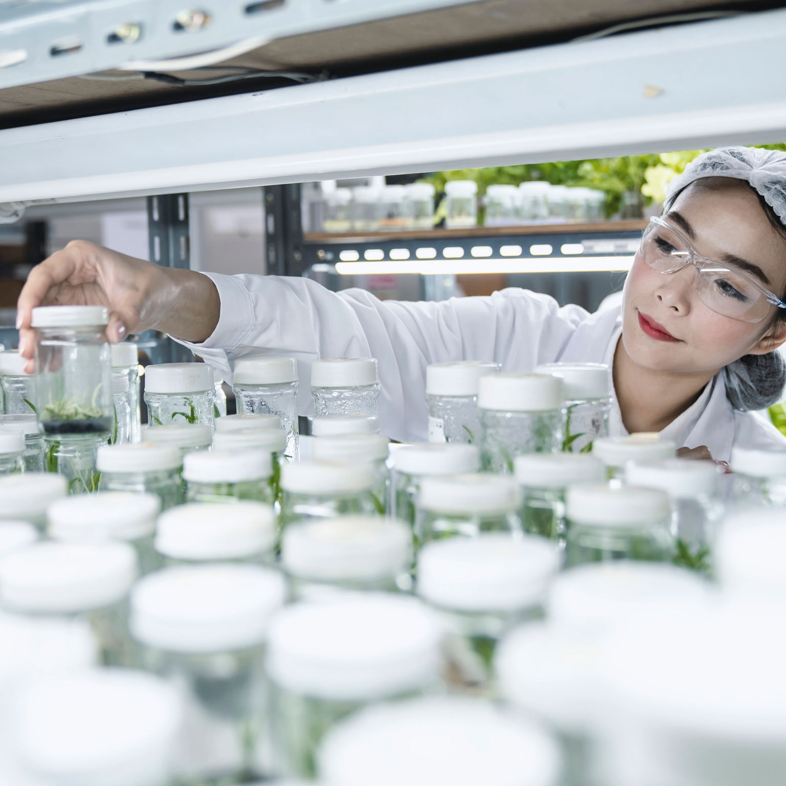 Needle in a haystack: Patents that inspire agricultural innovation