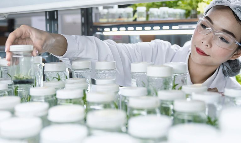 Needle in a haystack: Patents that inspire agricultural innovation