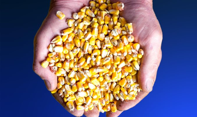 The agricultural transition: Building a sustainable future - Vimarsana News