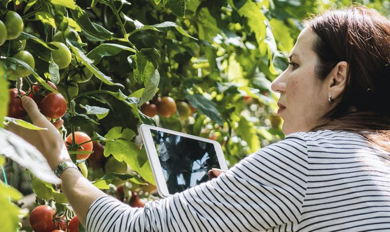 Unlocking the online retail opportunity with European farmers