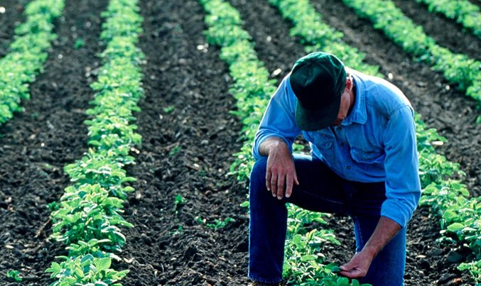 Paying US farmers to invest in sustainable farming methods - Vimarsana News