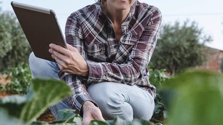 Portrait of a woman farmer examining her agricultural plantation with a digital tablet.