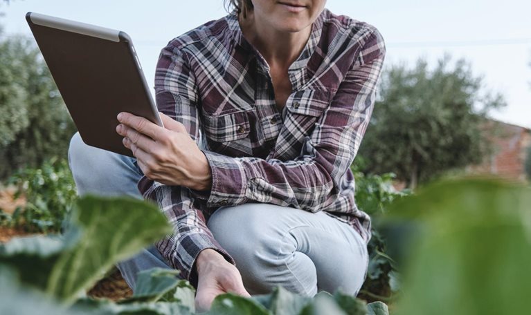 Portrait of a woman farmer examining her agricultural plantation with a digital tablet.